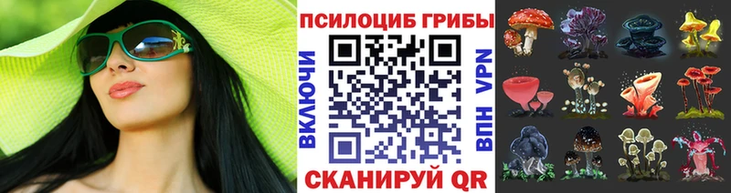 Псилоцибиновые грибы Psilocybine cubensis  Брюховецкая 