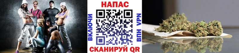 Канабис индика Брюховецкая